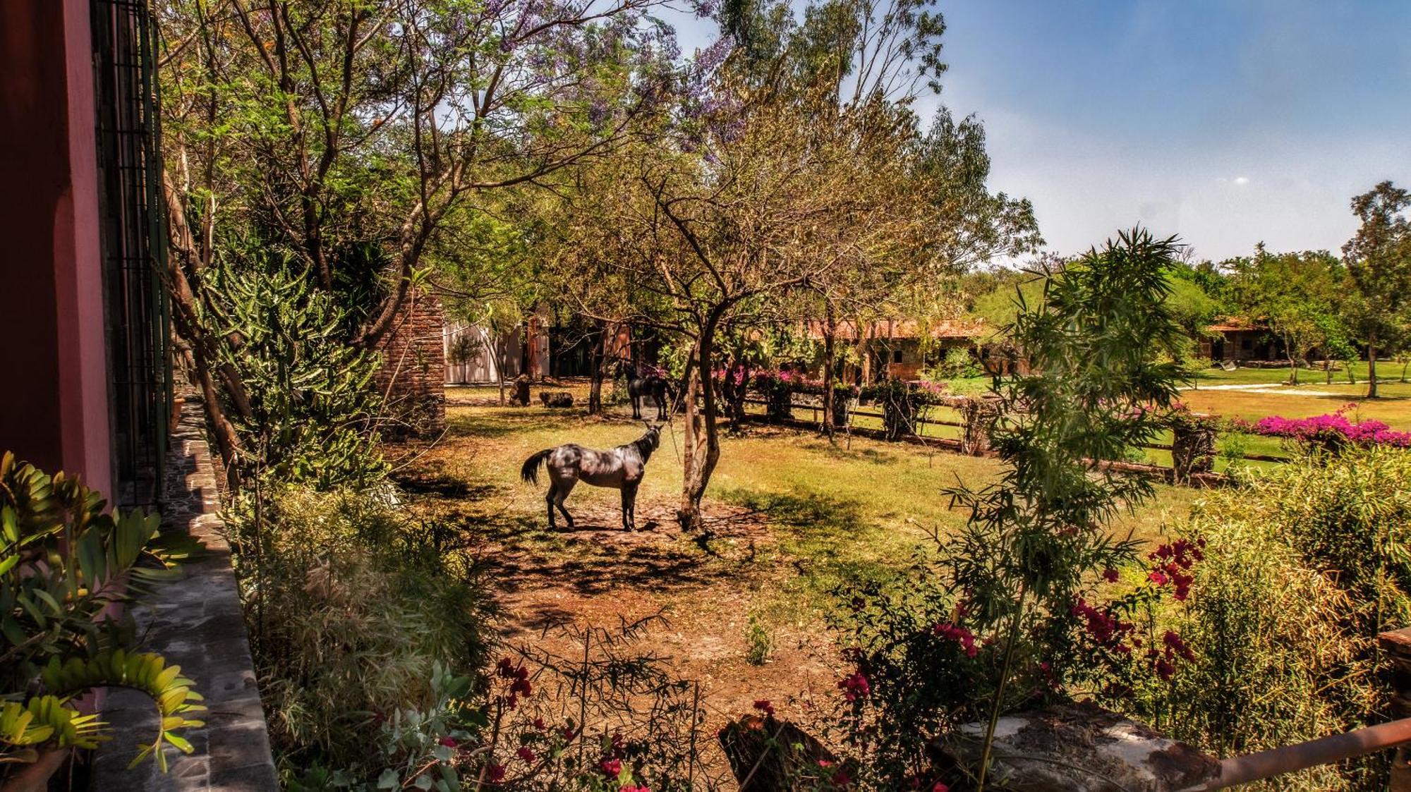 Hacienda Labor De Rivera Hotel Boutique & Eventos Teuchitlán Zewnętrze zdjęcie